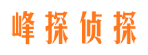 海口商务调查